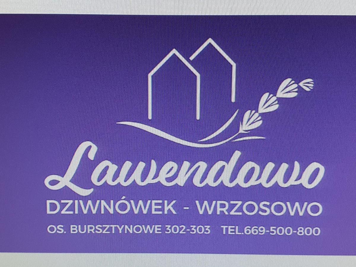 Lawendowo Villa Wrzosowo  Luaran gambar